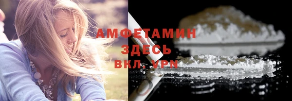 гидра Надым