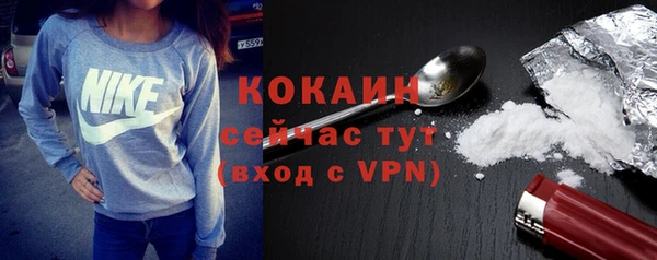 гидра Надым